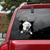 [sk0239-snf-vdt] Funny white labrado Car dogs Sticker Lover - Camellia Print