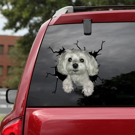[sk0765-snf-vdt]-rescues-crack-car-sticker-dogs-lover